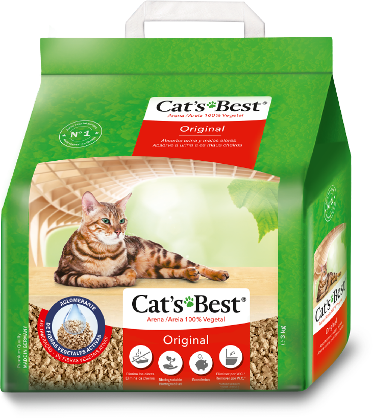 cats best