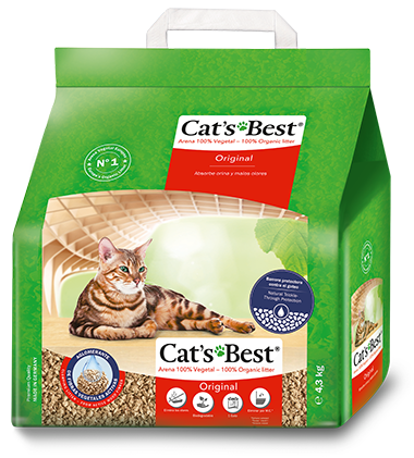 cats best