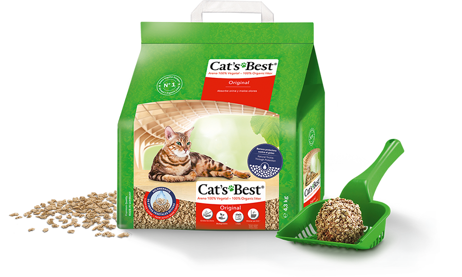 cats best